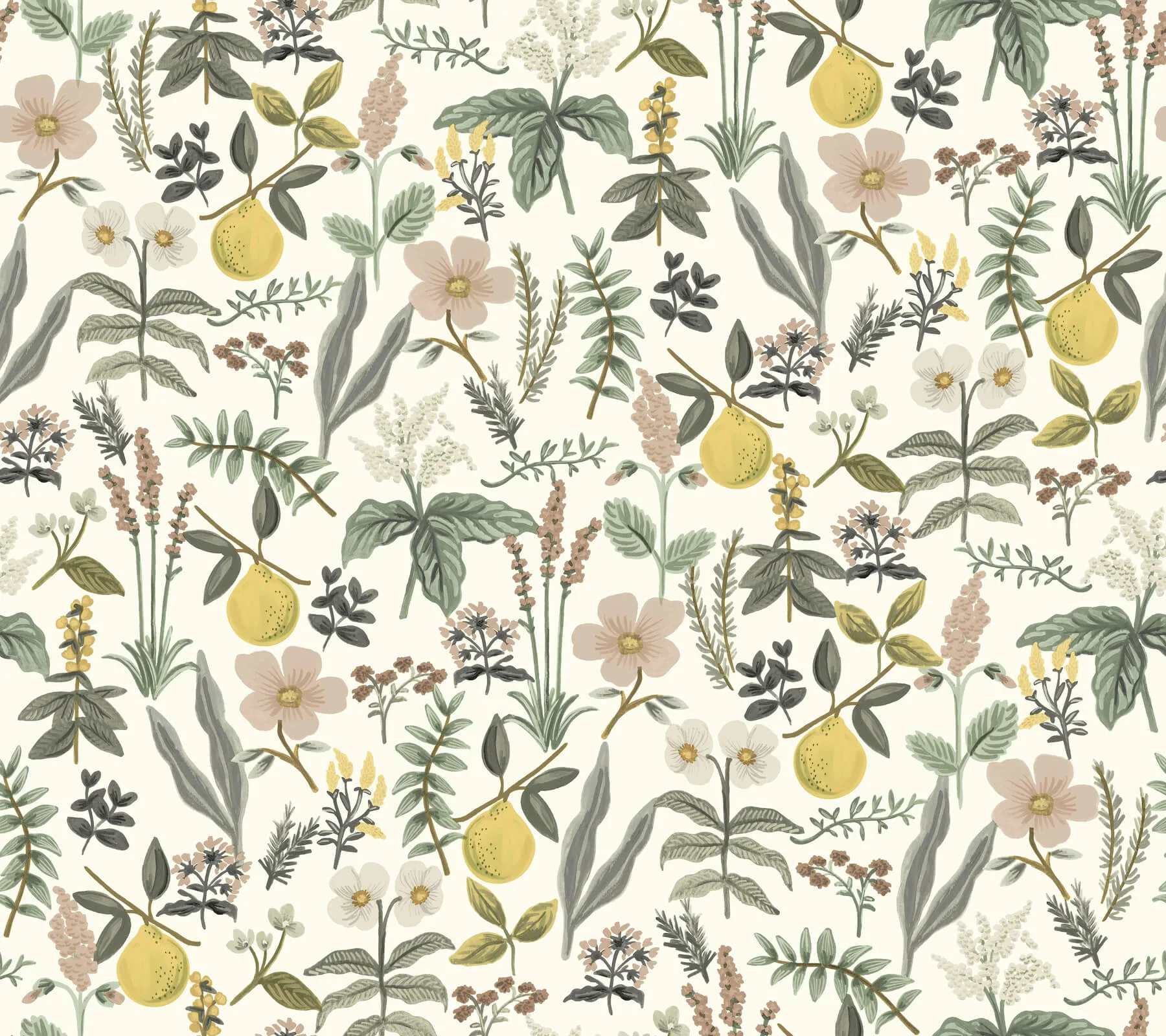 Rifle Paper Co. Herb Garden wallpaper, color Cream, SKU PSW1678RL