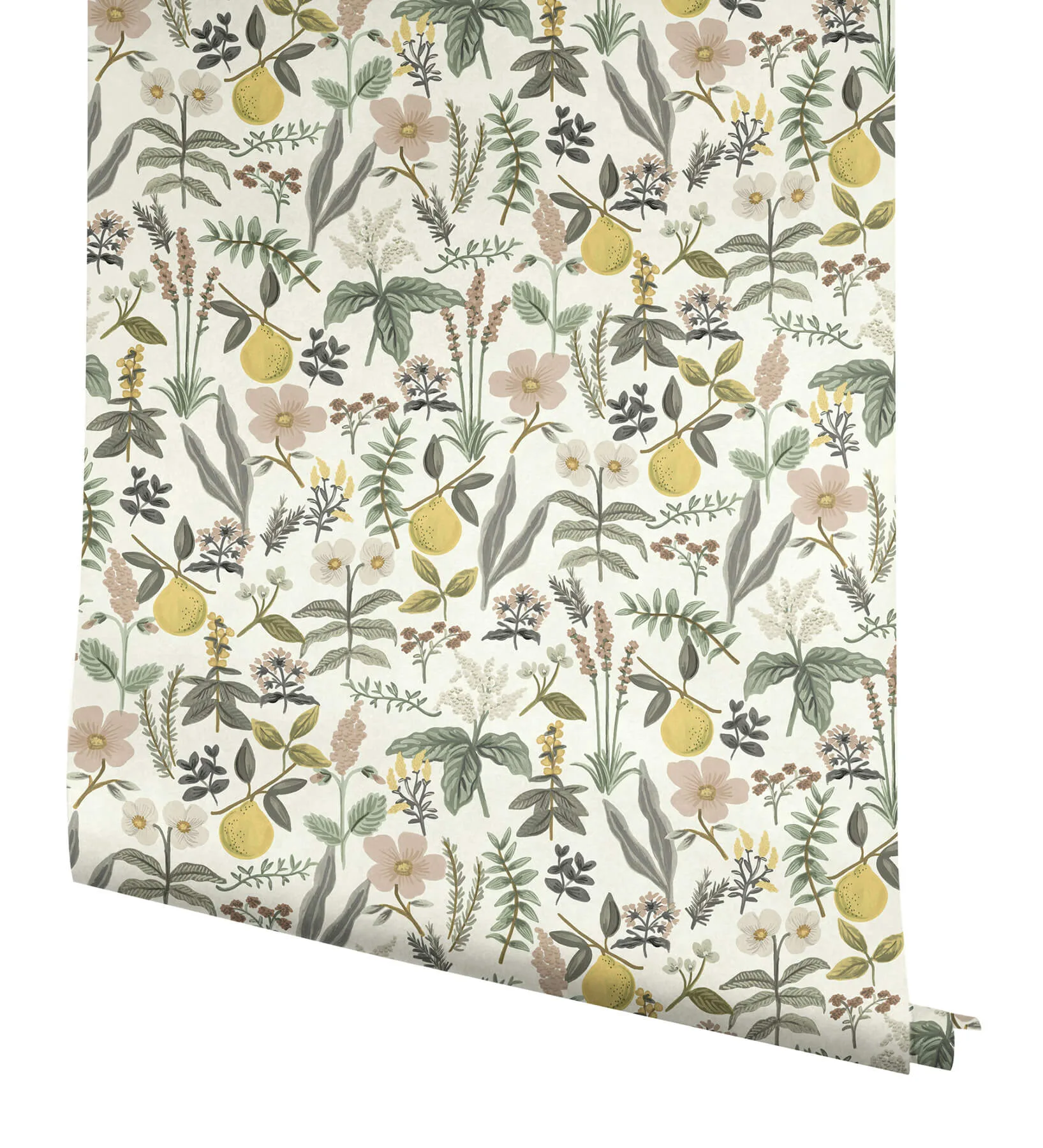 Rifle Paper Co. Herb Garden - Cream Wallpaper | Buy Online Rifle Paper Co. Herb Garden wallpaper, color Cream, SKU PSW1678RL