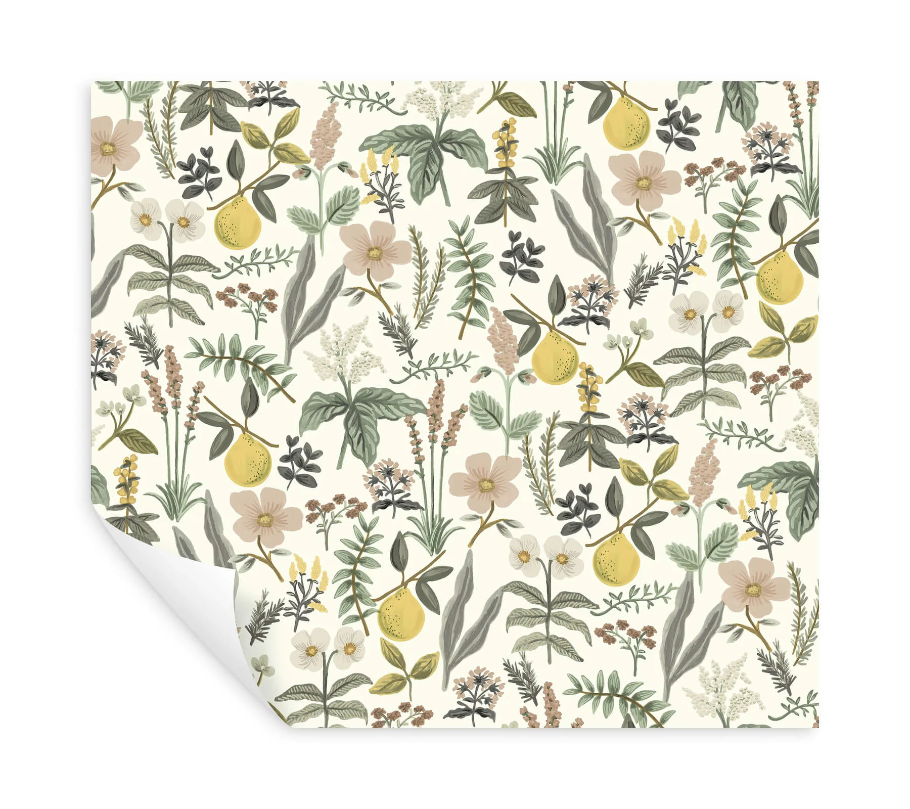 Rifle Paper Co. Herb Garden - Cream Wallpaper | Buy Online Rifle Paper Co. Herb Garden wallpaper, color Cream, SKU PSW1678RL