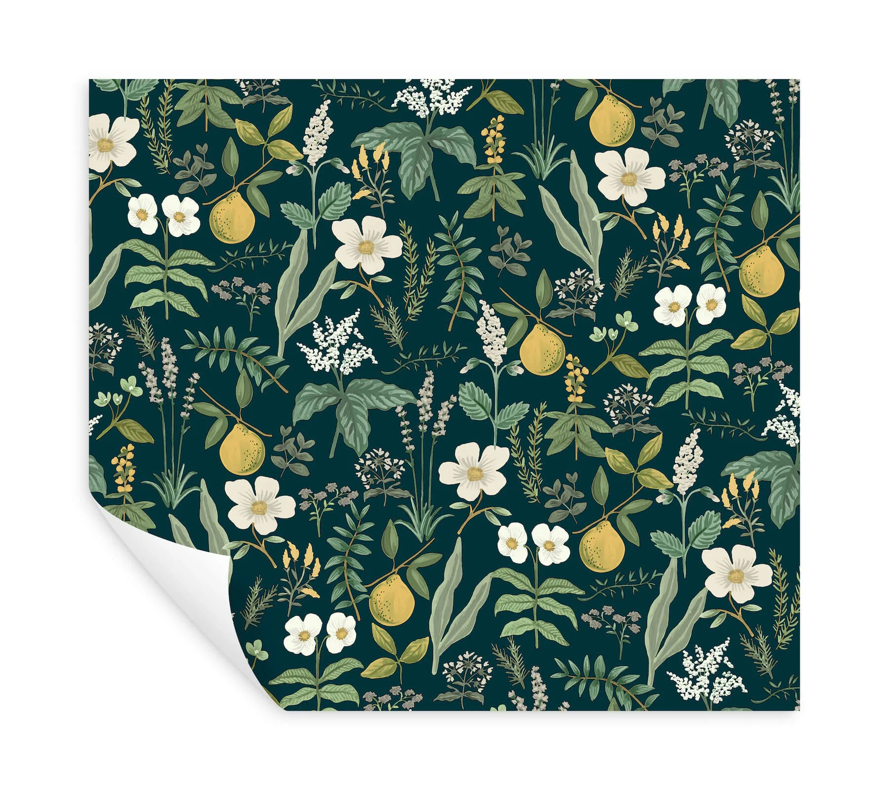 Rifle Paper Co. Herb Garden - Navy Wallpaper | Buy Online Rifle Paper Co. Herb Garden wallpaper, color Navy, SKU PSW1677RL