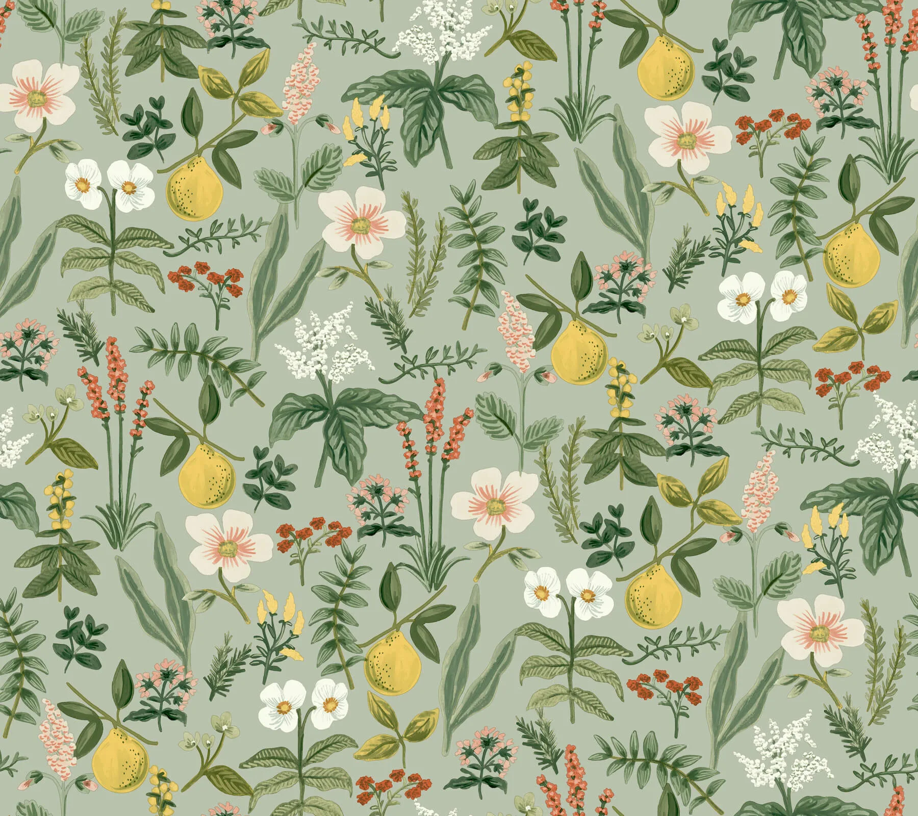 Rifle Paper Co. Herb Garden wallpaper, color Sage, SKU PSW1675RL