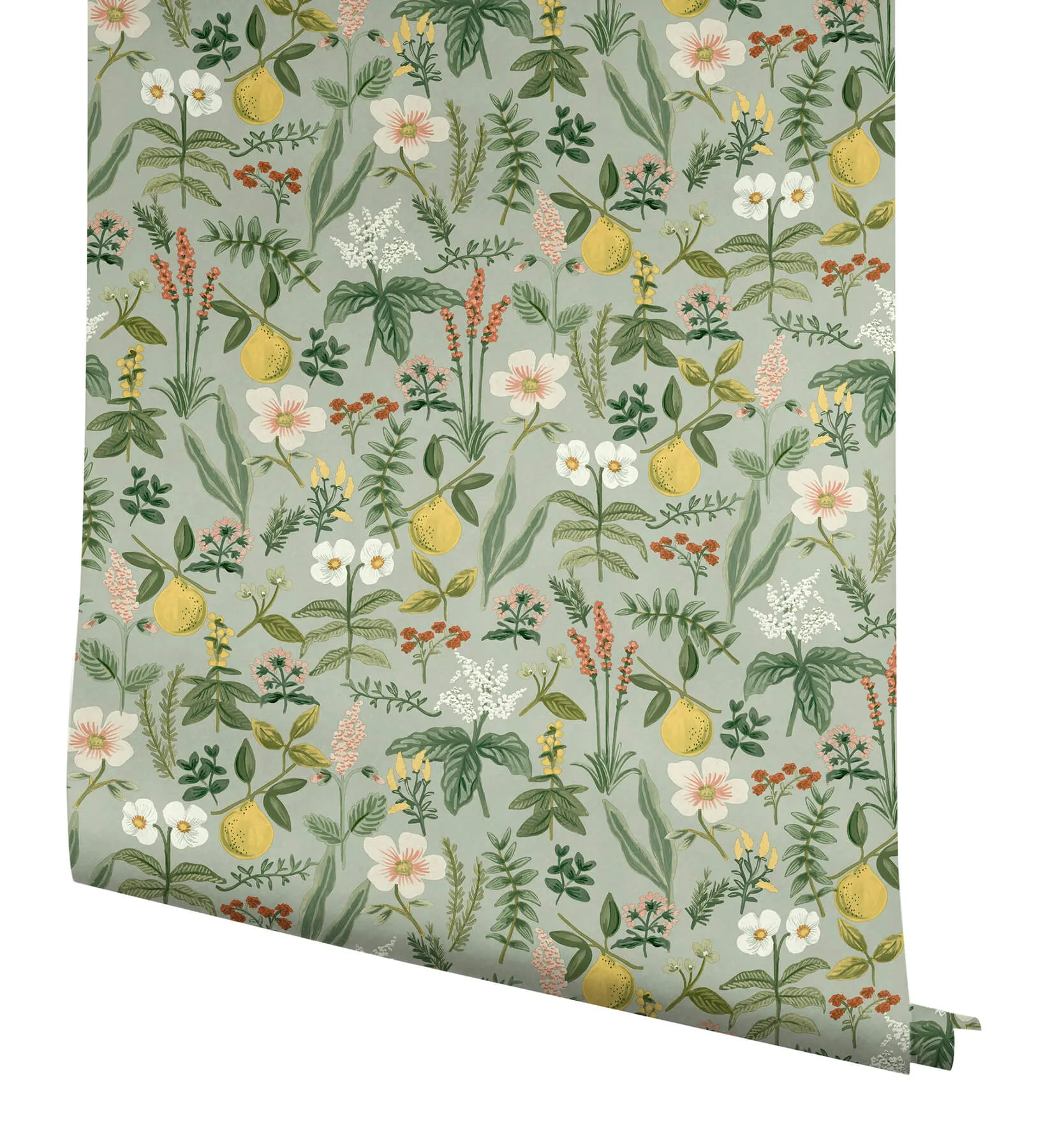Rifle Paper Co. Herb Garden - Sage Wallpaper | Buy Online Rifle Paper Co. Herb Garden wallpaper, color Sage, SKU PSW1675RL