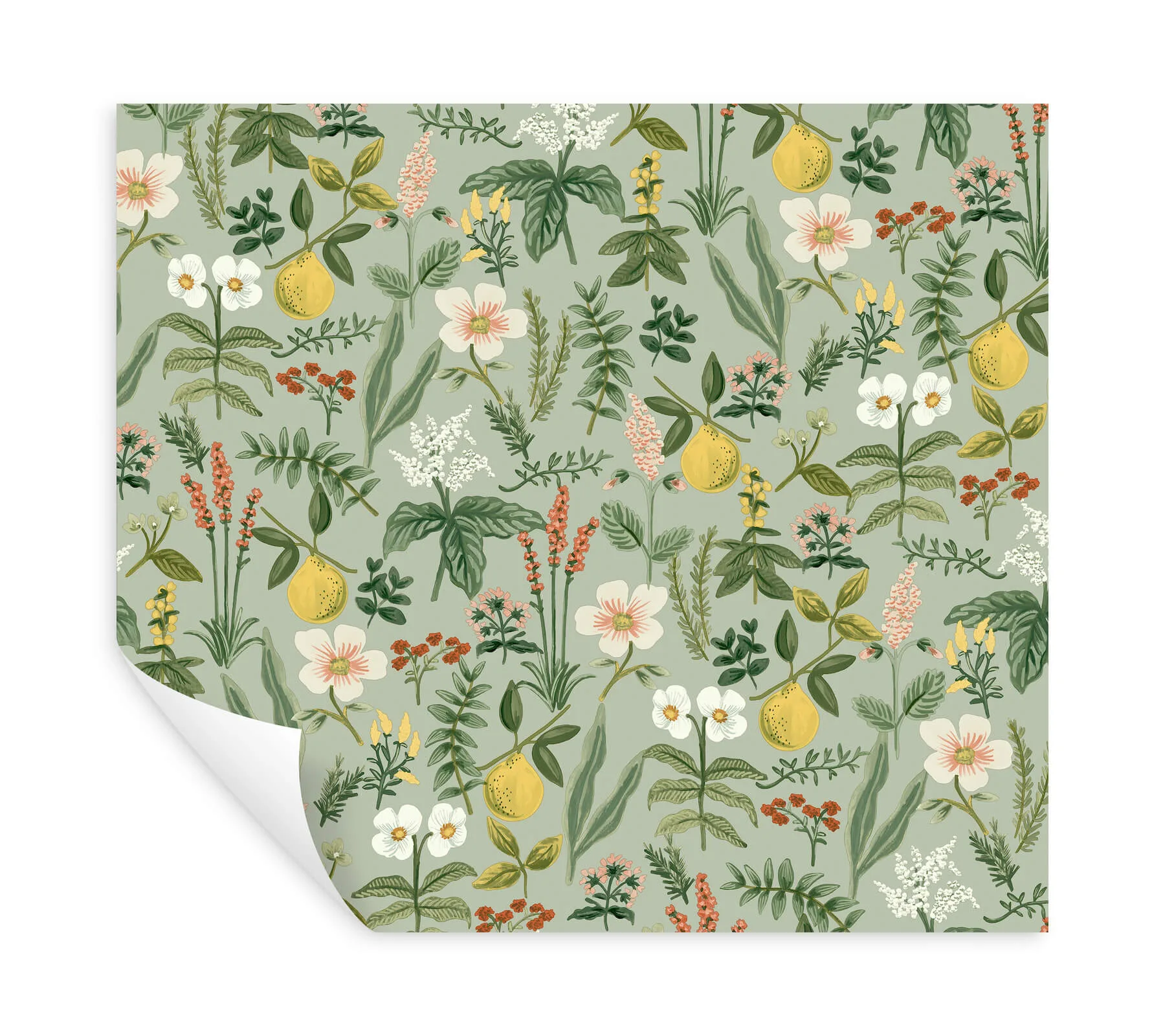Rifle Paper Co. Herb Garden - Sage Wallpaper | Buy Online Rifle Paper Co. Herb Garden wallpaper, color Sage, SKU PSW1675RL