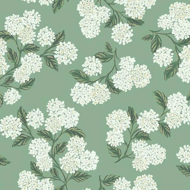 RI5145 | Hydrangea – Jade