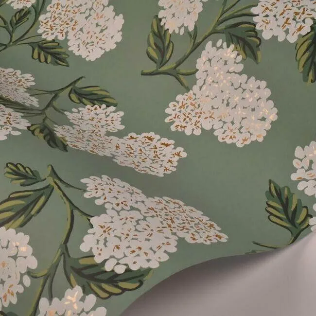 Rifle Paper Co. Hydrangea - Jade Wallpaper | Buy Online Rifle Paper Co. Hydrangea wallpaper, color Jade, SKU RI5145