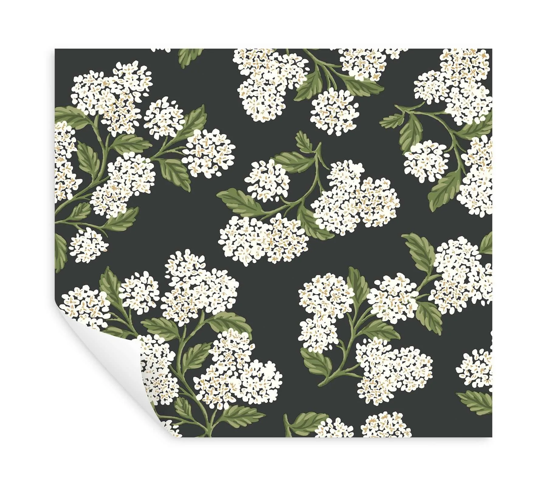 Rifle Paper Co. Hydrangea - Black & White Wallpaper | Buy Online Rifle Paper Co. Hydrangea wallpaper, color Black & White, SKU PSW1618RL
