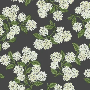 Rifle Paper Co. Hydrangea wallpaper, color Black & White, SKU RI5146