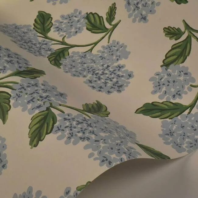 Rifle Paper Co. Hydrangea - Blue & White Wallpaper | Buy Online Rifle Paper Co. Hydrangea wallpaper, color Blue & White, SKU RI5143