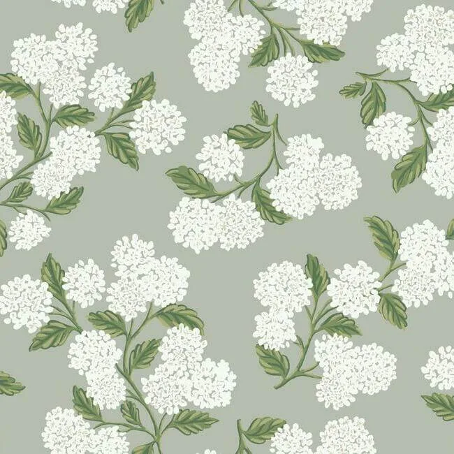RI5144 | Hydrangea – Grey