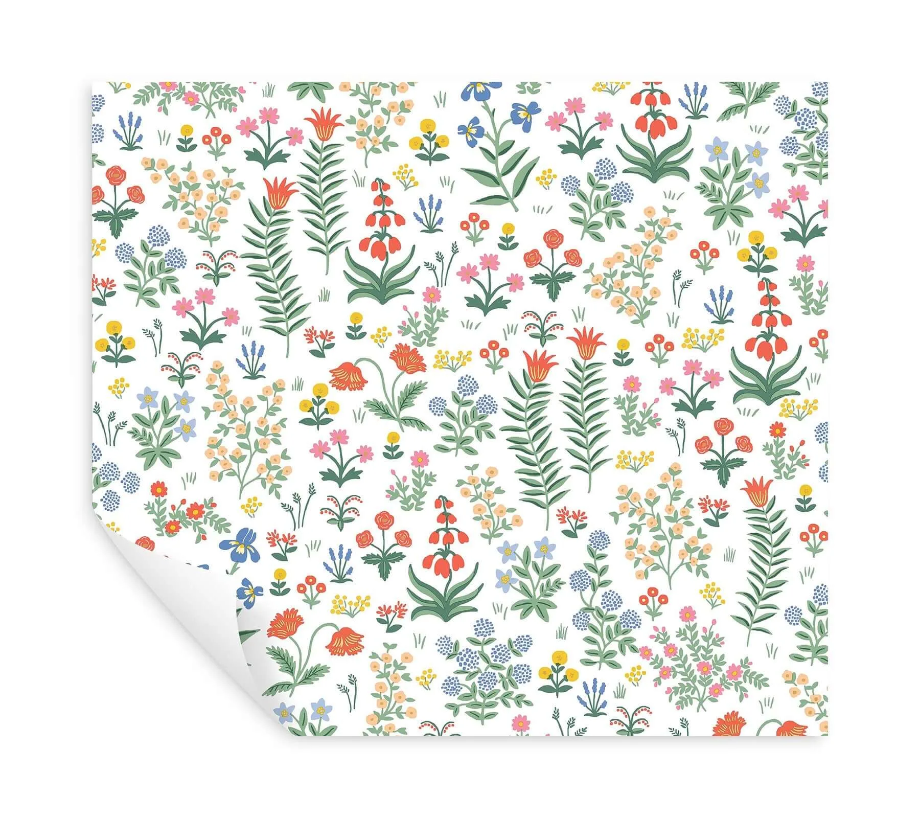 Rifle Paper Co. Menagerie Garden - Rose Multicolor Wallpaper | Buy Online Rifle Paper Co. Menagerie Garden wallpaper, color Rose Multicolor, SKU PSW1552RL