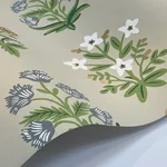 Rifle Paper Co. Mughal Rose - Beige & Purple Wallpaper | Buy Online Rifle Paper Co. Mughal Rose wallpaper, color Beige & Purple, SKU RP7350