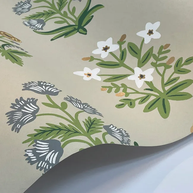 Rifle Paper Co. Mughal Rose - Beige & Purple Wallpaper | Buy Online Rifle Paper Co. Mughal Rose wallpaper, color Beige & Purple, SKU RP7350