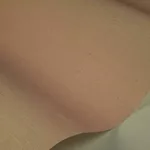 Rifle Paper Co. Palette wallpaper, color Light Pink, SKU RI5183