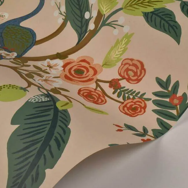 Rifle Paper Co. Peacock - Light Pink Wallpaper | Buy Online Rifle Paper Co. Peacock wallpaper, color Light Pink, SKU RI5169