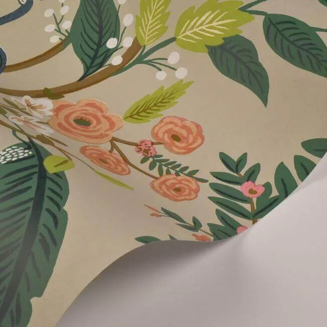 Rifle Paper Co. Peacock - Linen Wallpaper | Buy Online Rifle Paper Co. Peacock wallpaper, color Linen, SKU RI5171