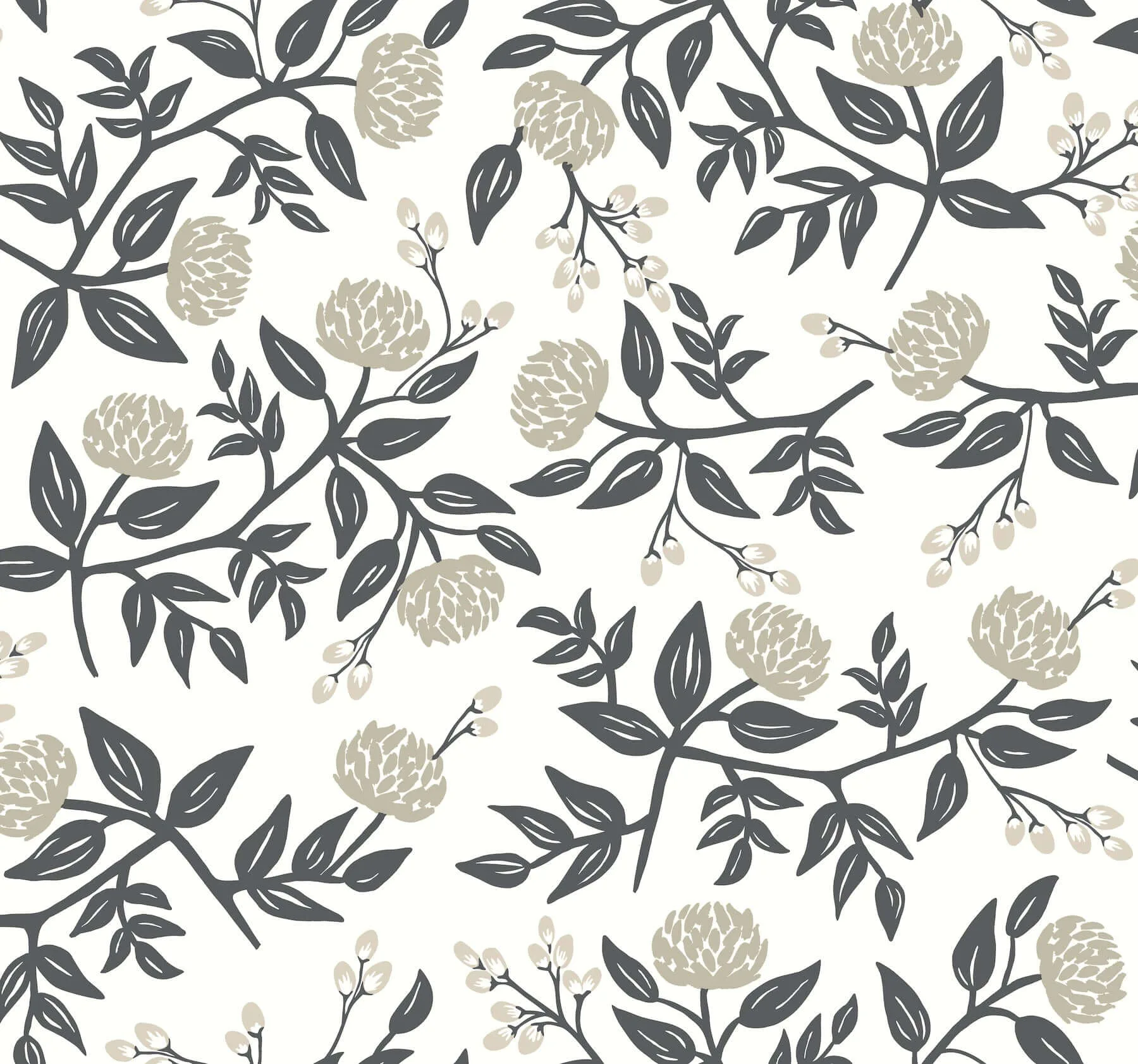 Rifle Paper Co. Peonies wallpaper, color White & Black, SKU RI5150