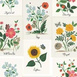 Rifle Paper Co. Botanical Prints - White & Pink Wallpaper | Buy Online Rifle Paper Co. Botanical Prints wallpaper, color White & Pink, SKU RP7334
