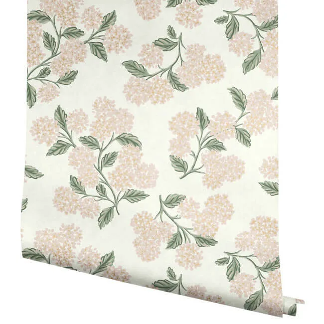 Rifle Paper Co. Hydrangea - Beige & Pink Wallpaper | Buy Online Rifle Paper Co. Hydrangea wallpaper, color Beige & Pink, SKU RP7393