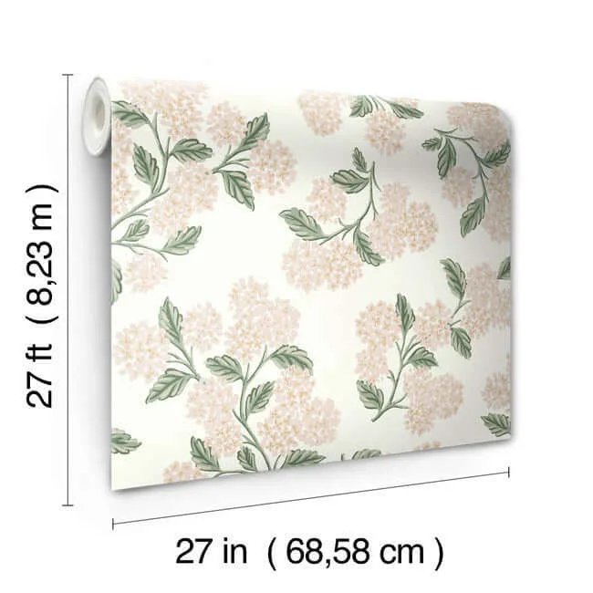 Rifle Paper Co. Hydrangea - Beige & Pink Wallpaper | Buy Online Rifle Paper Co. Hydrangea wallpaper, color Beige & Pink, SKU RP7393