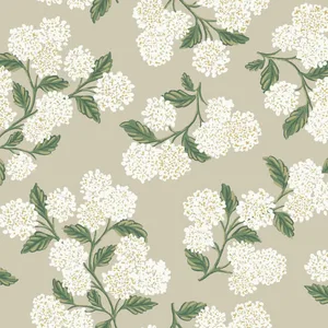 Rifle Paper Co. Hydrangea wallpaper, color Beige, SKU RP7394