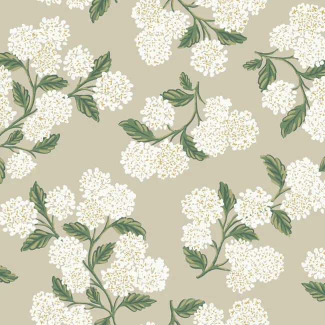 RP7394 | Hydrangea – Beige