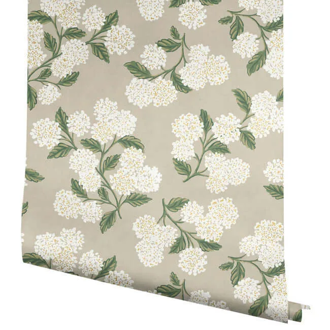 Rifle Paper Co. Hydrangea - Beige Wallpaper | Buy Online Rifle Paper Co. Hydrangea wallpaper, color Beige, SKU RP7394