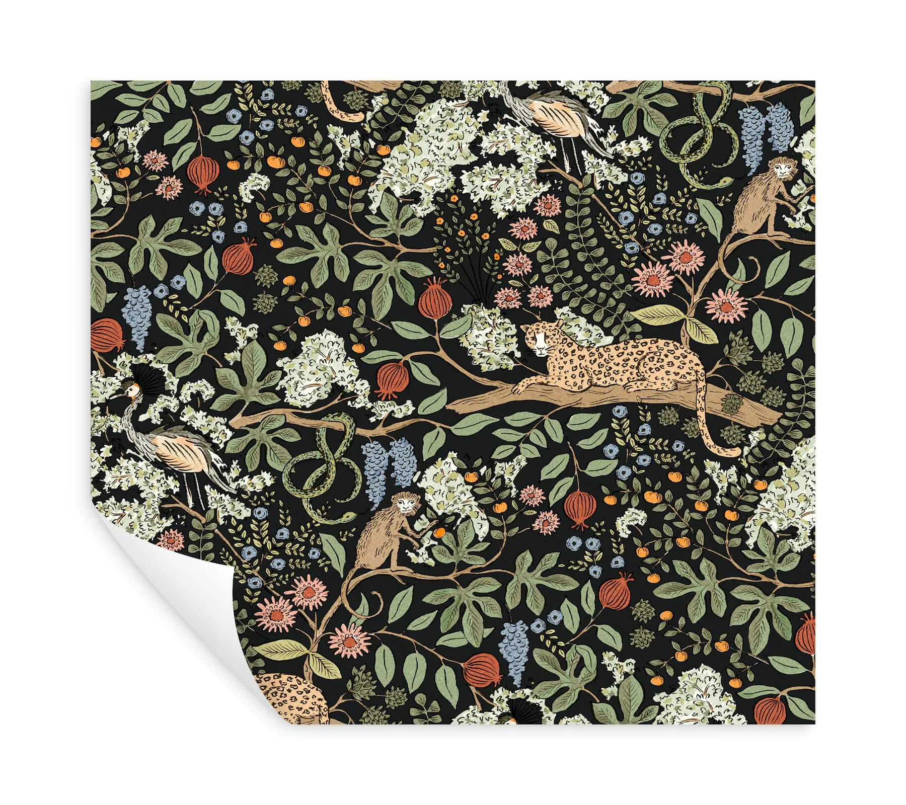 Rifle Paper Co. Safari - Black Wallpaper | Buy Online Rifle Paper Co. Safari wallpaper, color Black, SKU PSW1680RL