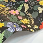 Rifle Paper Co. Strawberry Fields - Black & Green Wallpaper | Buy Online Rifle Paper Co. Strawberry Fields wallpaper, color Black & Green, SKU RP7355