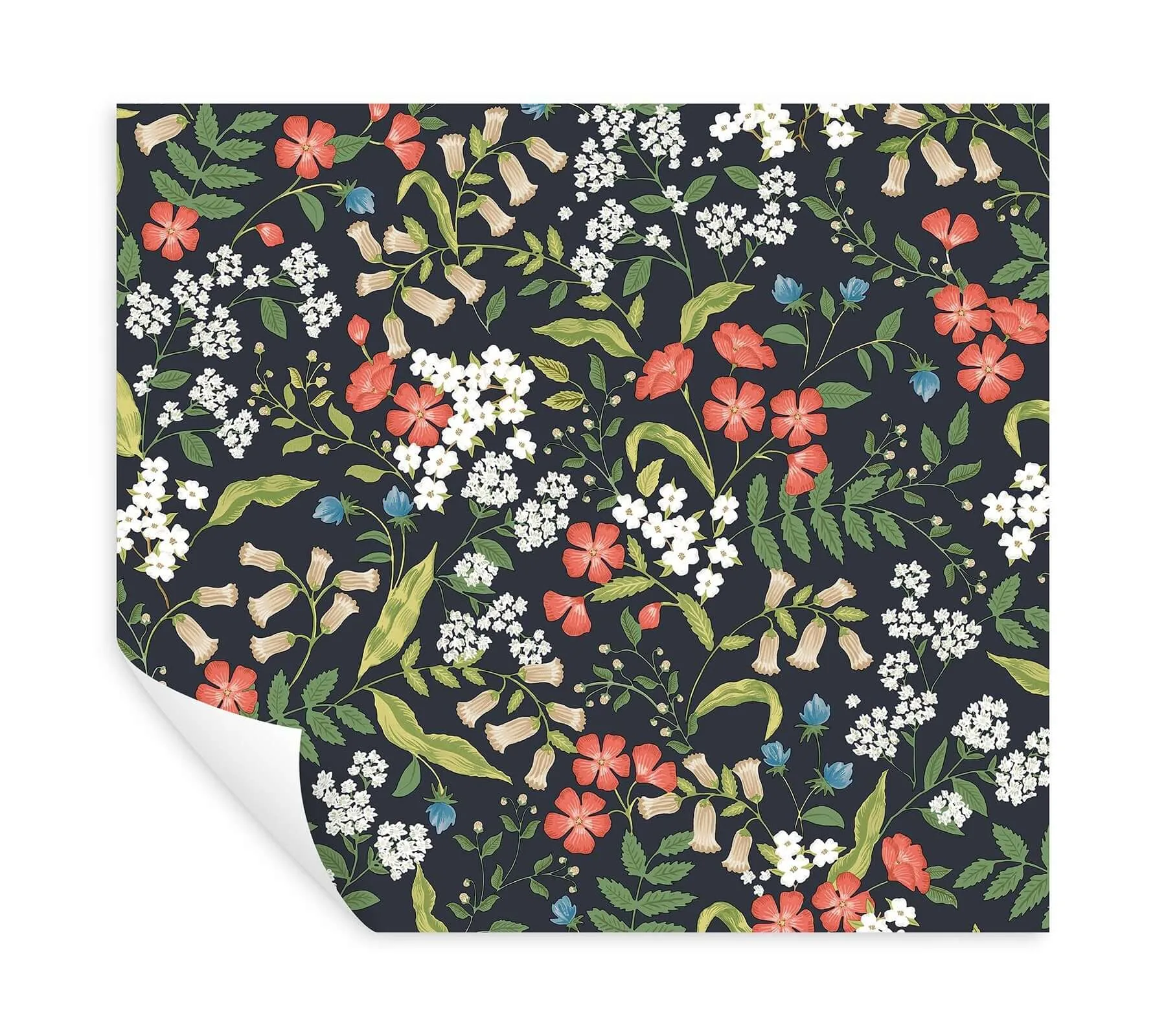 Rifle Paper Co. Sweetbrier - Black Wallpaper | Buy Online Rifle Paper Co. Sweetbrier wallpaper, color Black, SKU PSW1549RL