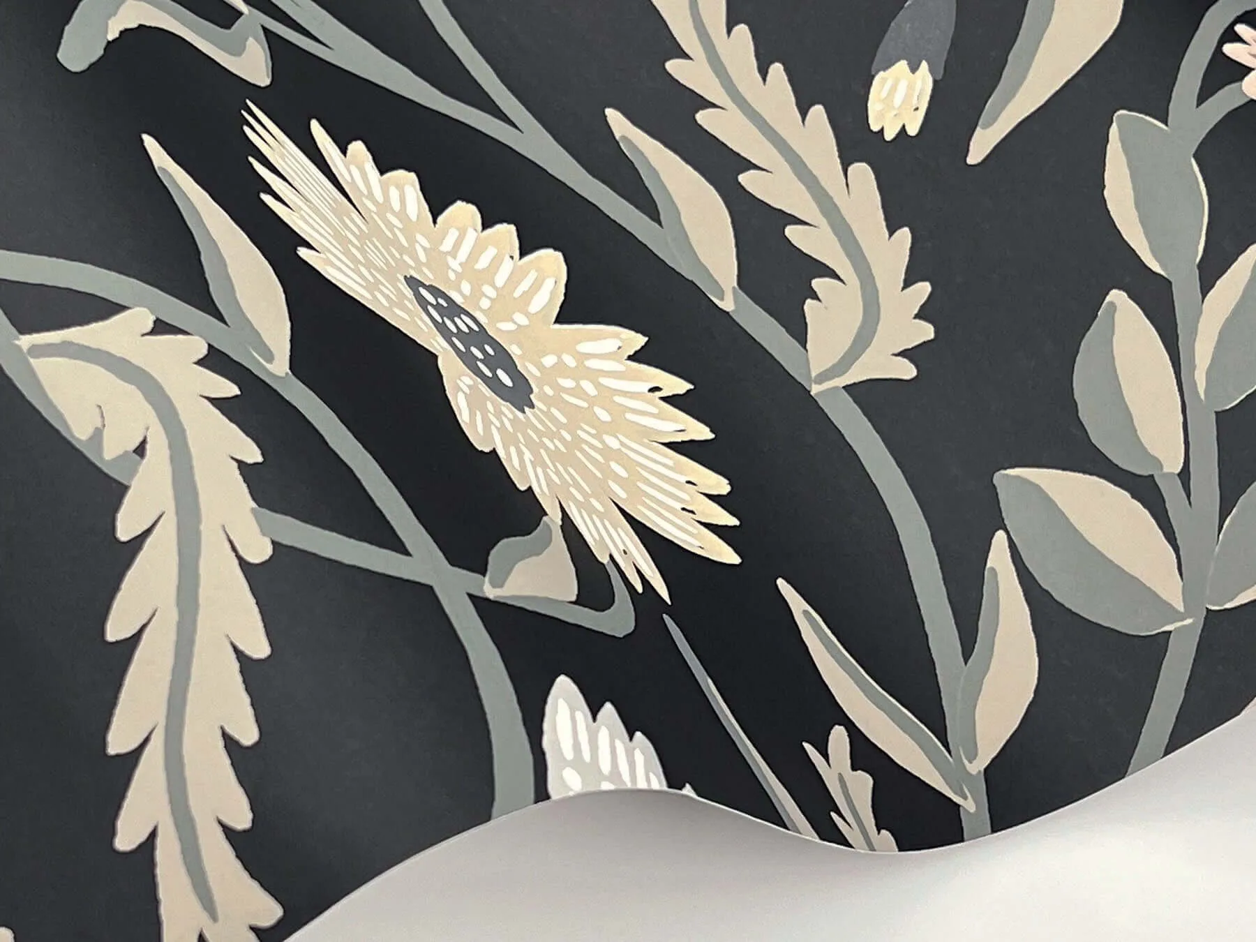 Rifle Paper Co. Aster - Black Wallpaper | Buy Online Rifle Paper Co. Aster wallpaper, color Black, SKU RF7434