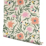 Rifle Paper Co. Aster - Coral Wallpaper | Buy Online Rifle Paper Co. Aster wallpaper, color Coral, SKU RF7433