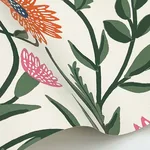 Rifle Paper Co. Aster - Coral Wallpaper | Buy Online Rifle Paper Co. Aster wallpaper, color Coral, SKU RF7433