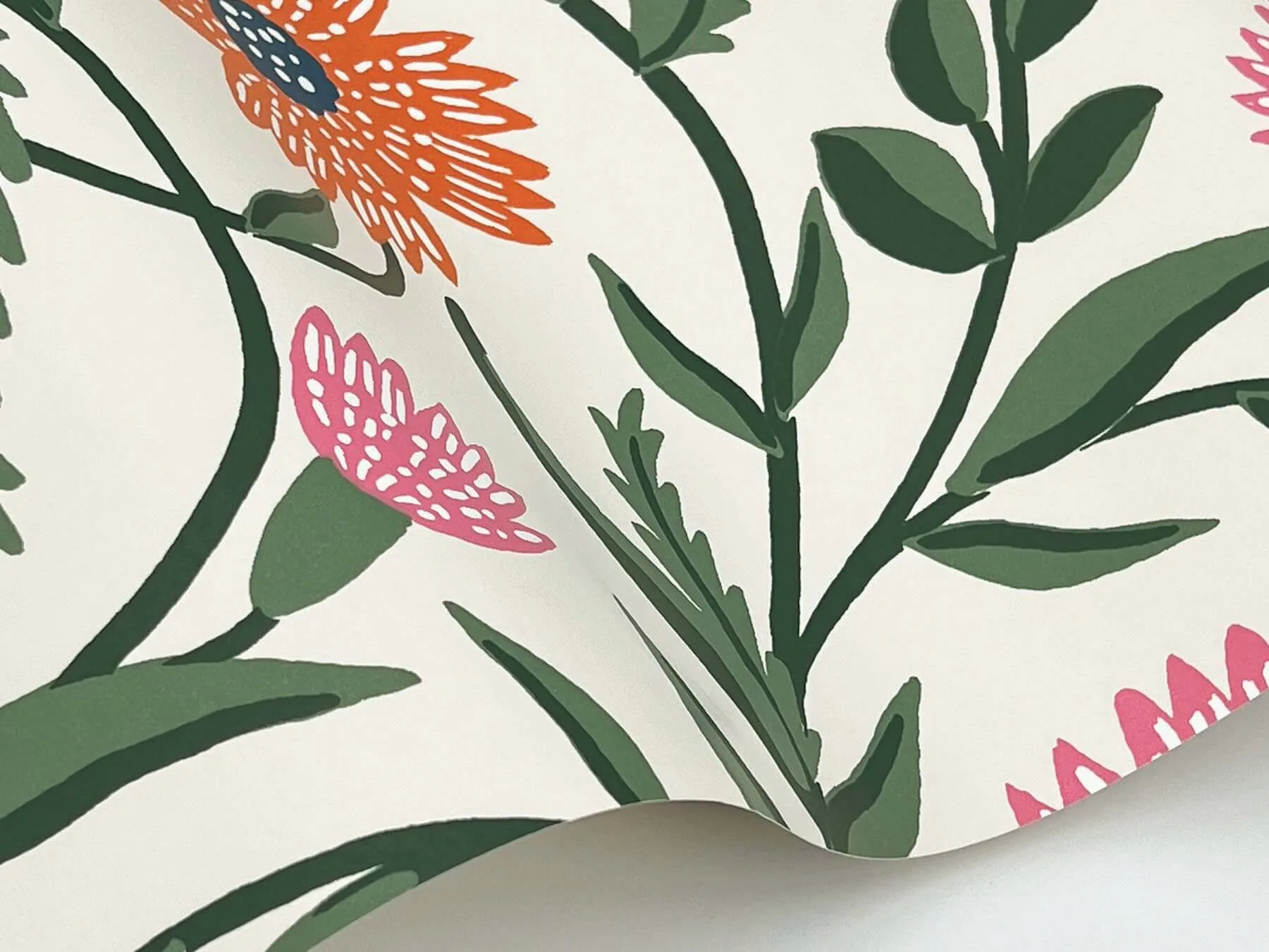 Rifle Paper Co. Aster - Coral Wallpaper | Buy Online Rifle Paper Co. Aster wallpaper, color Coral, SKU RF7433