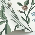 Rifle Paper Co. Aster - White Wallpaper | Buy Online Rifle Paper Co. Aster wallpaper, color White, SKU RF7431