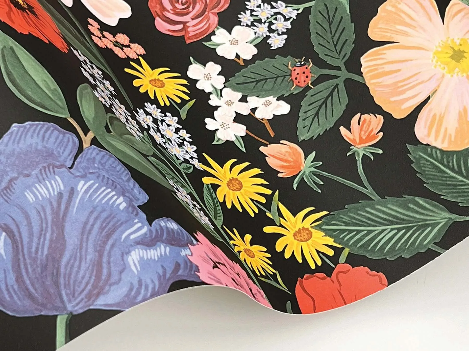 Rifle Paper Co. Blossom - Black Wallpaper | Buy Online Rifle Paper Co. Blossom wallpaper, color Black, SKU RF7491