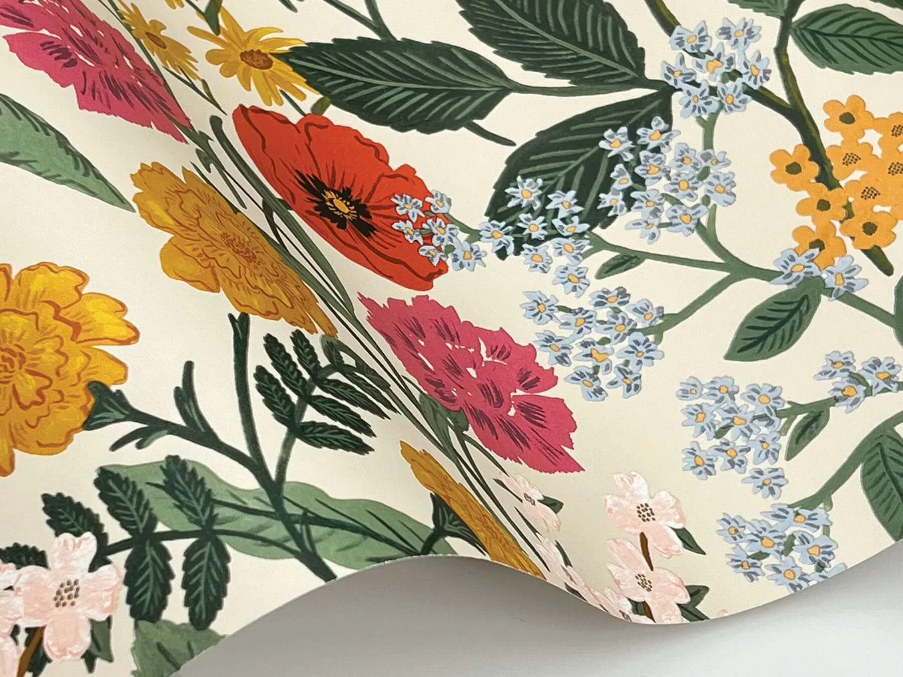 Rifle Paper Co. Blossom - Cream Wallpaper | Buy Online Rifle Paper Co. Blossom wallpaper, color Cream, SKU RF7492