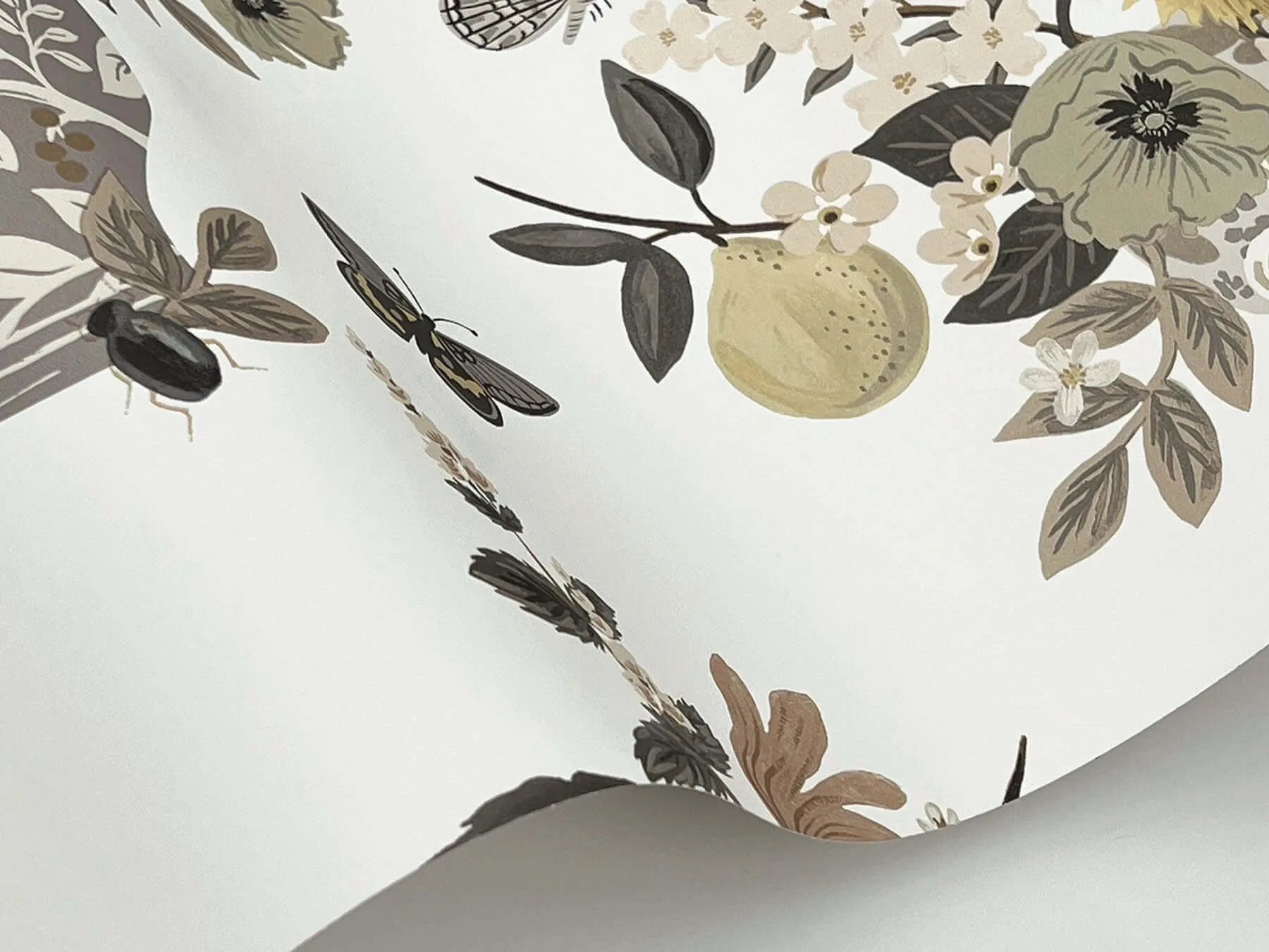 Rifle Paper Co. Flower Studies - Linen Wallpaper | Buy Online Rifle Paper Co. Flower Studies wallpaper, color Linen, SKU RF7403