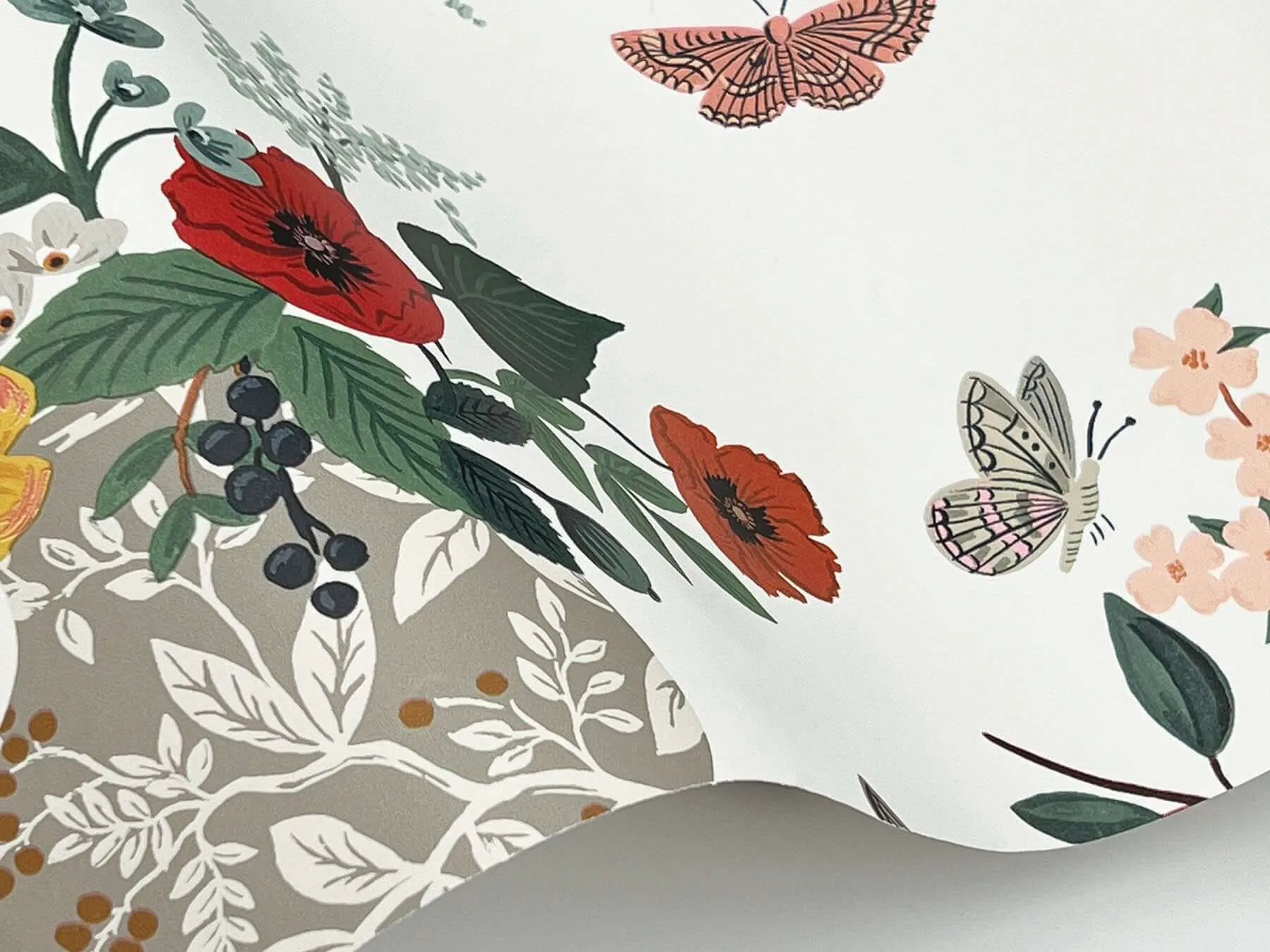 Rifle Paper Co. Flower Studies - Rose Wallpaper | Buy Online Rifle Paper Co. Flower Studies wallpaper, color Rose, SKU RF7404