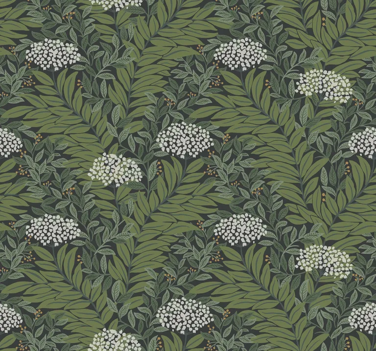Rifle Paper Co. Highgrove wallpaper, color Black, SKU RF7504