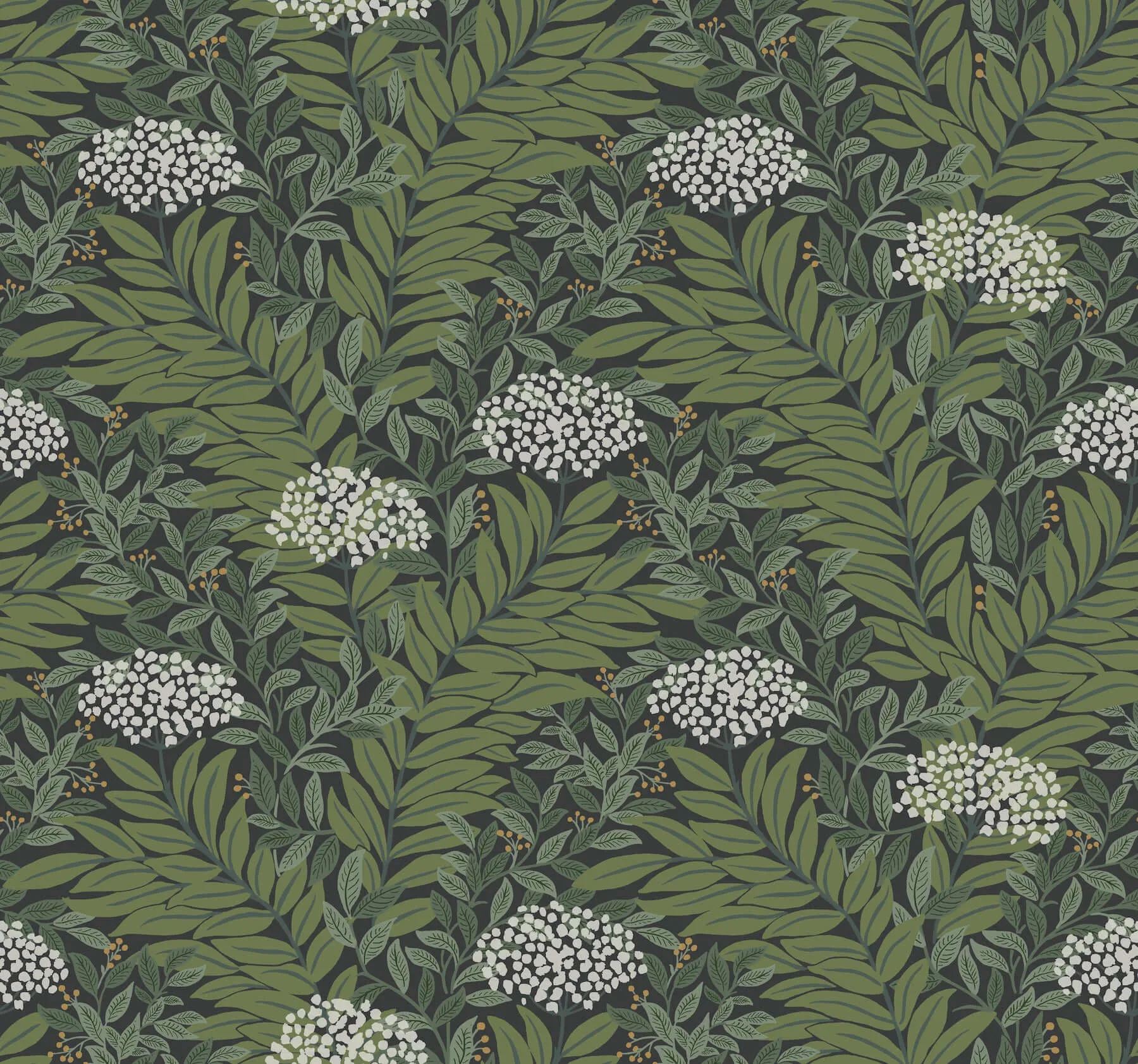 Rifle Paper Co. Highgrove wallpaper, color Black, SKU RF7504