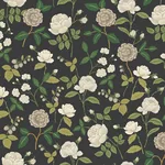 Rifle Paper Co. Roses - Black Wallpaper | Buy Online Rifle Paper Co. Roses wallpaper, color Black, SKU RF7542