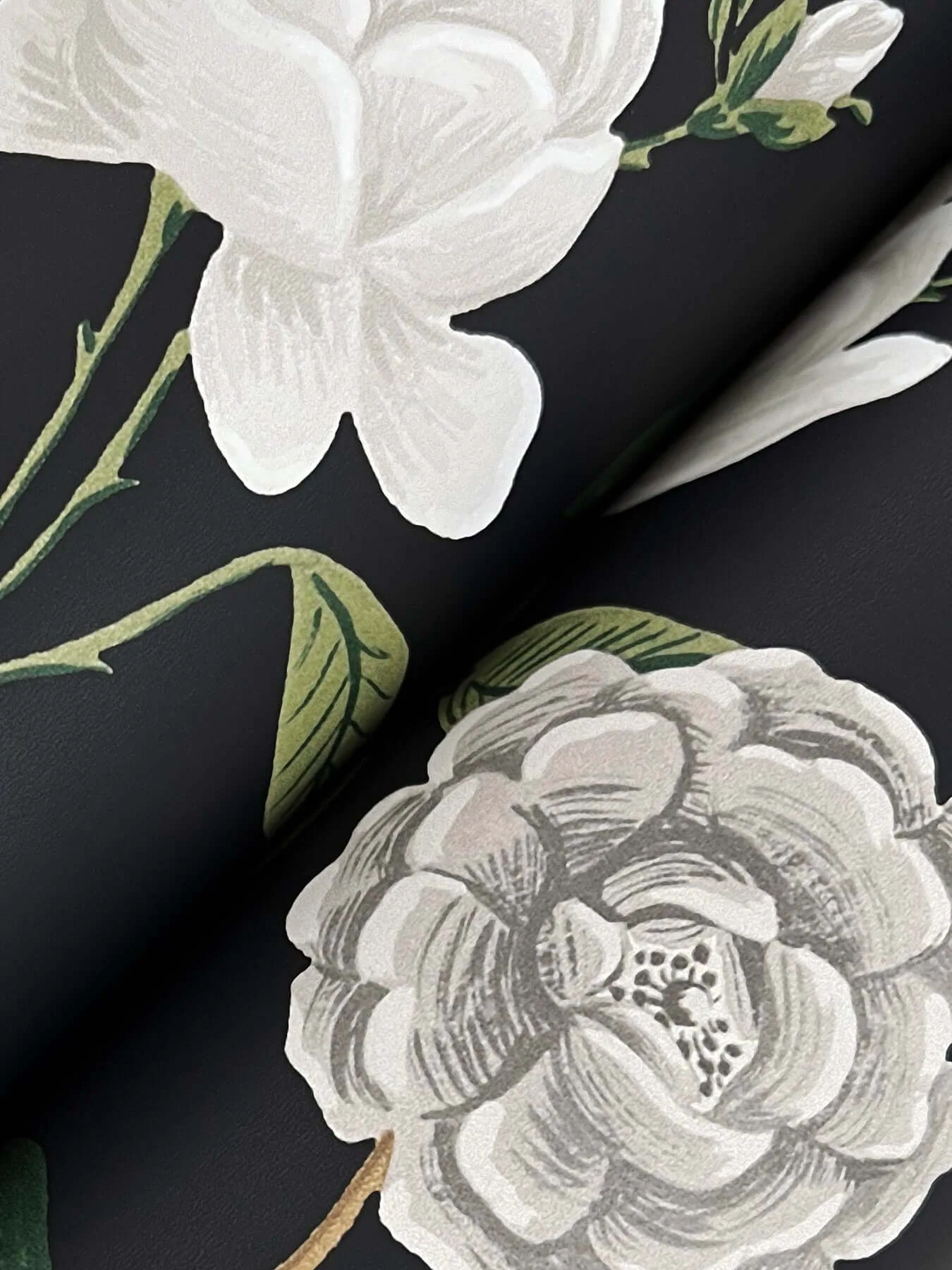 Rifle Paper Co. Roses - Black Wallpaper | Buy Online Rifle Paper Co. Roses wallpaper, color Black, SKU RF7542