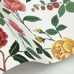 Rifle Paper Co. Roses wallpaper, color Blush, SKU RF7546