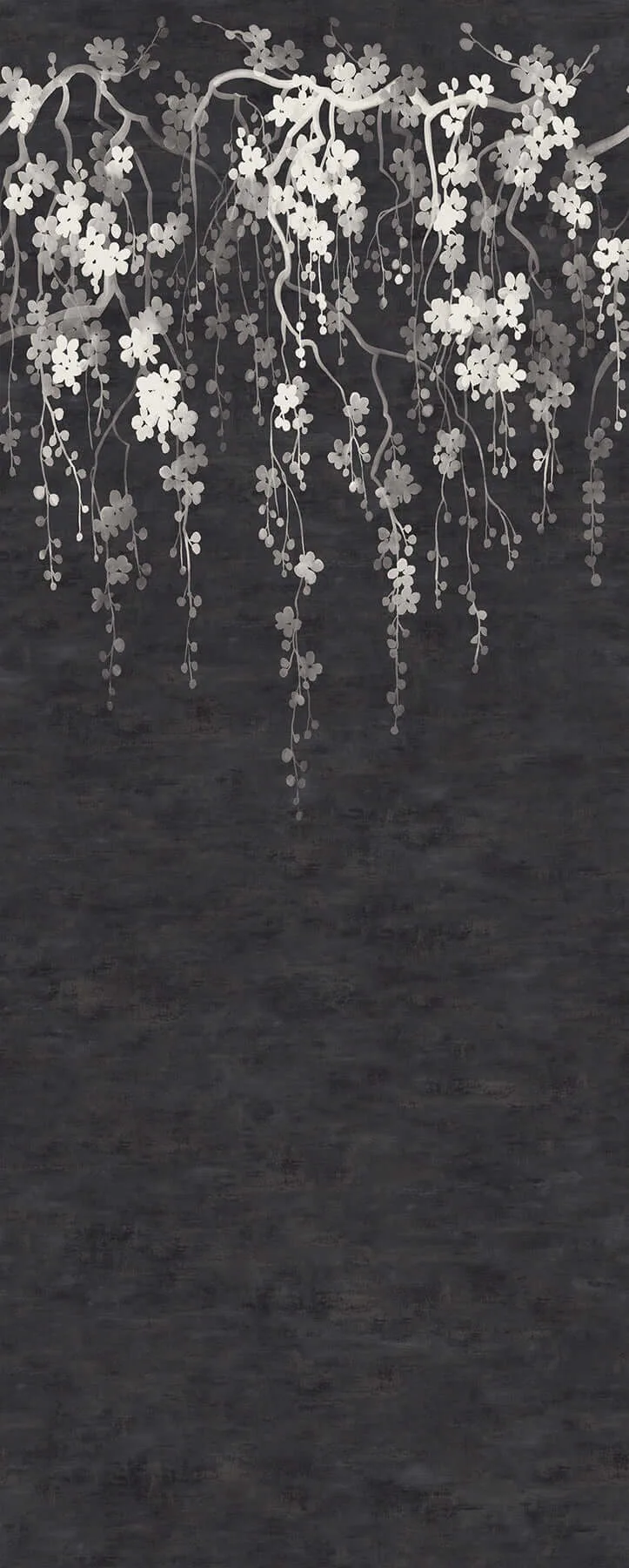 Ronald Redding Sakura Blooms wallpaper, color Black, SKU ZA8058M