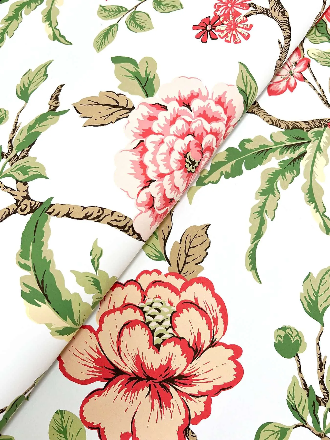 Ronald Redding Courtyard Botanical wallpaper, color Rose, SKU MX9651