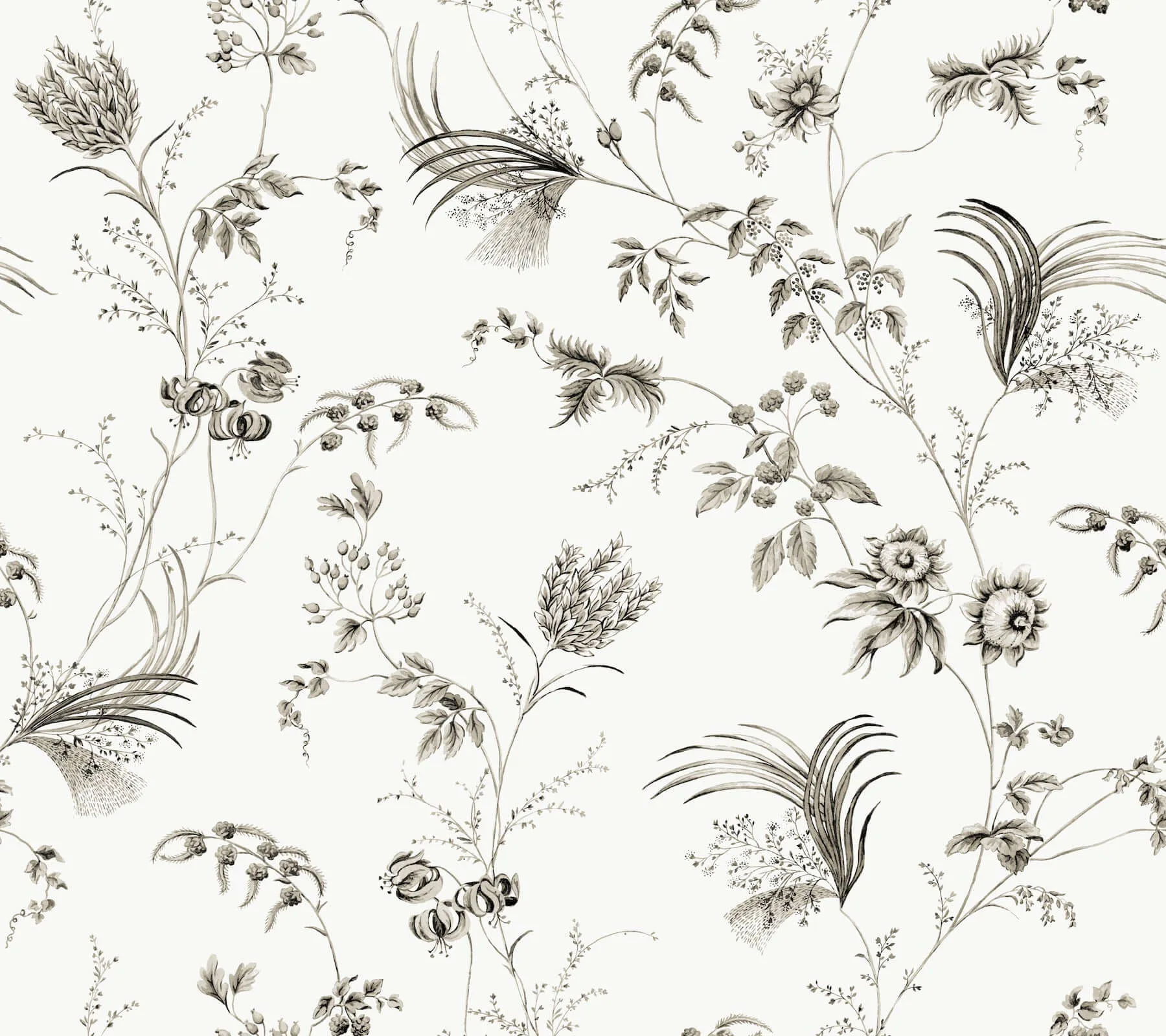 Ronald Redding Floral Lace wallpaper, color Black, SKU MX9682