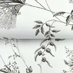 Ronald Redding Floral Lace wallpaper, color Black, SKU MX9682