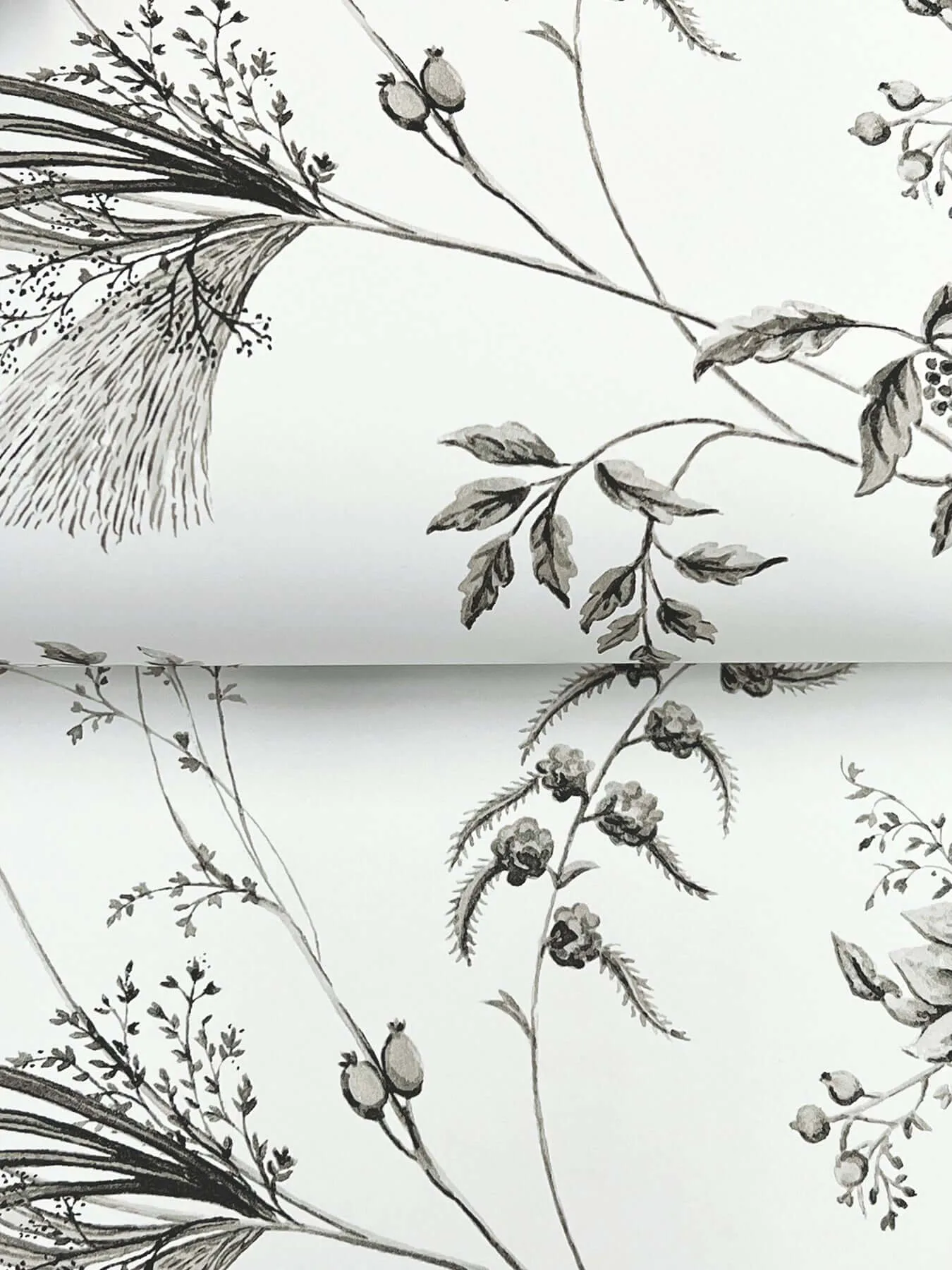 Ronald Redding Floral Lace wallpaper, color Black, SKU MX9682