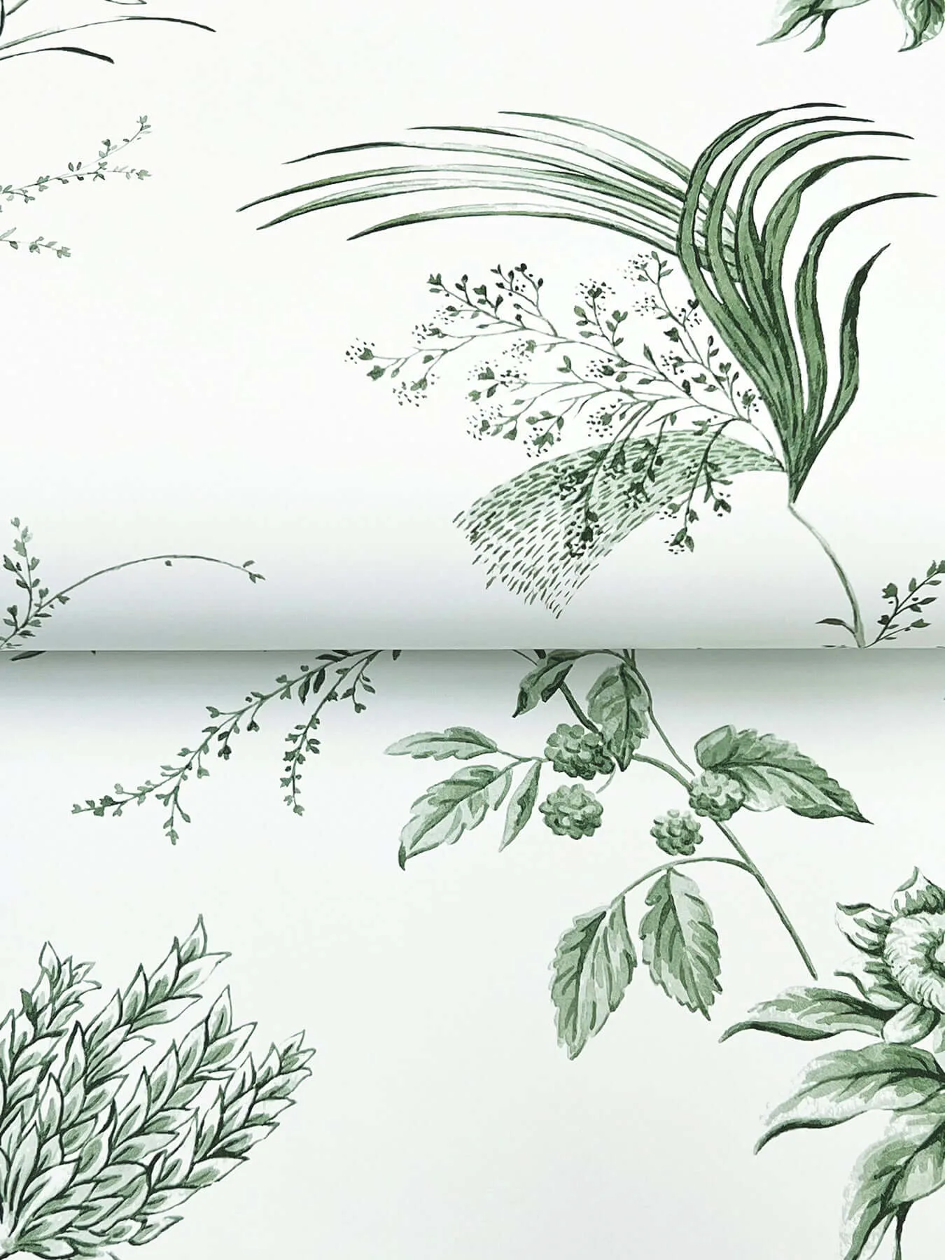 Ronald Redding Floral Lace wallpaper, color Green, SKU MX9680