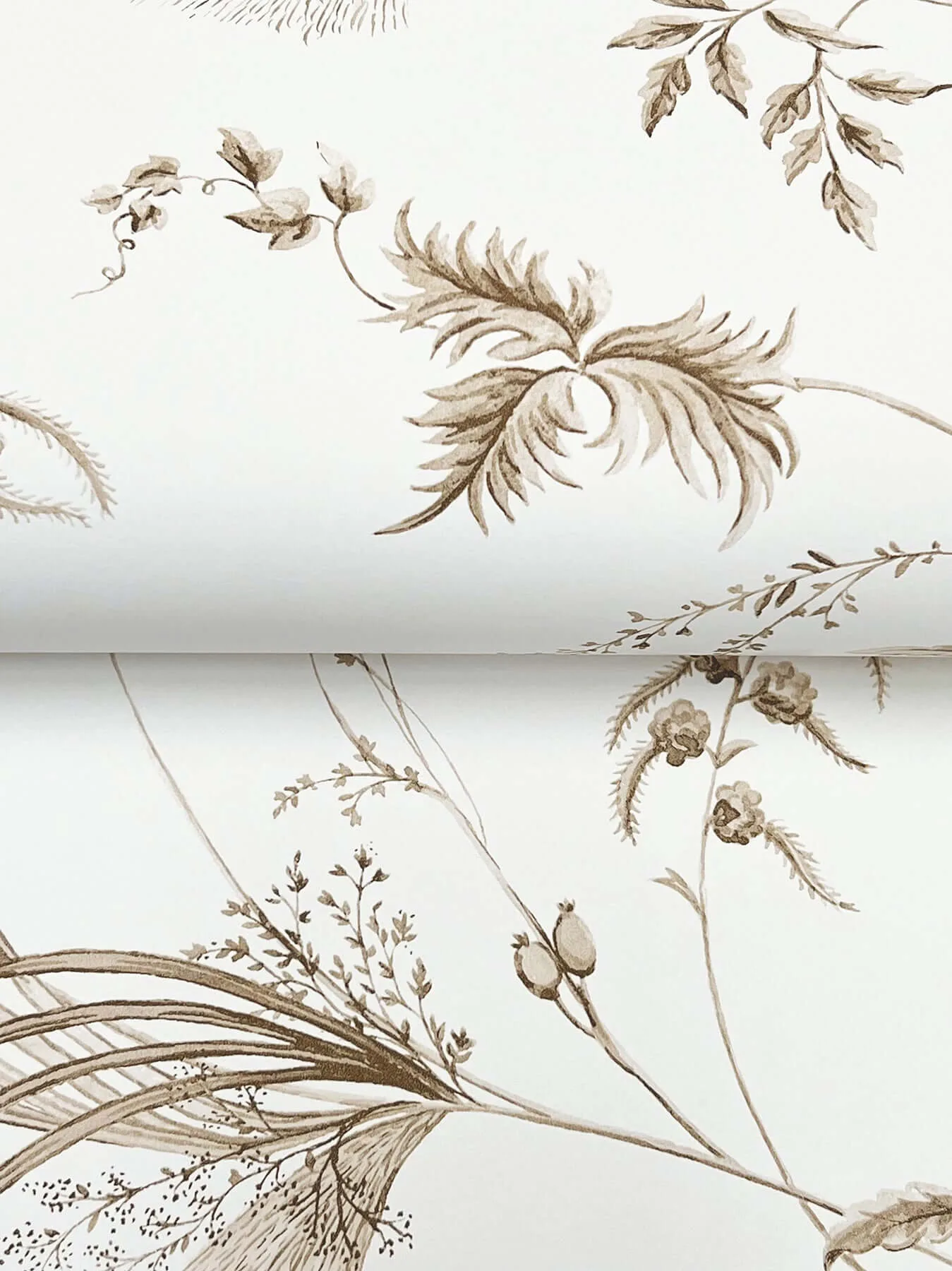 Ronald Redding Floral Lace - Taupe Wallpaper | Buy Online Ronald Redding Floral Lace wallpaper, color Taupe, SKU MX9681
